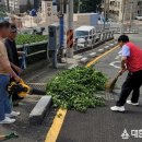 서구의회 입구 이미지