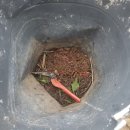 비안농장 이미지