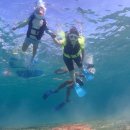 스위밍키즈 도안관저점 이미지