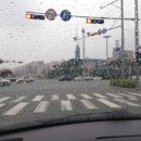 신창연세치과의원 이미지