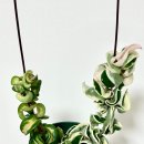 의식의 흐름 이미지