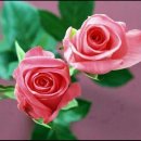 안동권씨회관 이미지