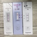 손범수달빛의원 | [코로나 확진자 동거인에서 확진자가 된 ssul, 확진일기] 지긋지긋한 코로나 제발 없어졌음 좋겠다 🤬