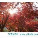 율원초교 병설유치원 이미지