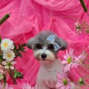 개운한날 이미지