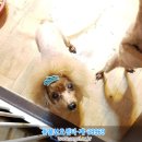 대신고등학교 이미지