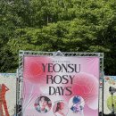 로지데이즈(ROSY DAYS) | 240518 연수토요문화마당 YEONSU ROSY DAYS 다녀옴