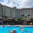 켄싱턴리조트 가평야외수영장 이미지