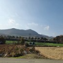 지촌리 경로당 이미지