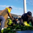 옥포종합사회복지관무료경로식당 이미지