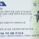 계족산염소맛집 이미지