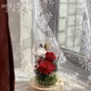 멜팅플레르