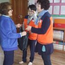 돼지가좋은세상 이미지