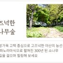 수선화모텔 이미지