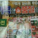 천리마 Daum카페