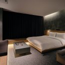 소노캄 고양 이미지