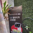 하오 탕후루 이미지