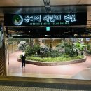 태양의집 | 종각역 태양의 정원 후기, 종로서적 가는 길 숨은 힐링 명소