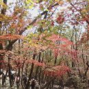 청십자약국 이미지