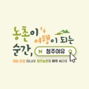 천연염색 배우기 | 청주아이랑갈만한곳 청주여유 농촌체험 코스