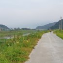 안심리 안심교 Daum카페