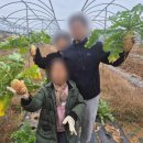 용두2리마을회관 이미지