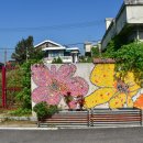 조치원권투체육관 이미지