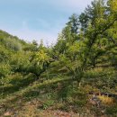 봉자농장 이미지