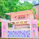 근화여자중학교 이미지