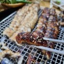 일출봉 민물장어 이미지