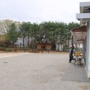 양지-2855 이미지