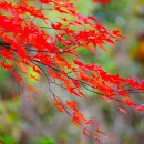 올림픽공원 산책후 정만수친구가 마련한 즐거운 시간을 함께 보내며 이미지