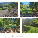 HS부동산중개사무소 이미지