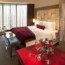 더드림호텔 이미지