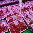 한우가즈아 이미지