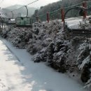 ﻿베어스타운스키장 수요일 스노우보드캠프 동영상, 설경이 아름다운 곰마을 3 이미지