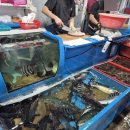 회한다라이 | 포항 죽도시장 회포장 만세회센타 내돈내산 솔직후기