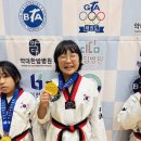 참 태권도장 이미지