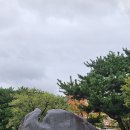 대전 가볼만한곳 내사랑 대전시립미술관 넥스트코드 2025
