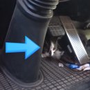 송은농장 이미지