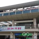 태화초교 국제뉴스