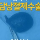 압구정동물의료센터 이미지