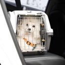 YS 동물병원 이미지