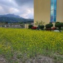 울산바우모텔 이미지