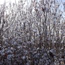 드론공원 이미지