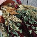 꽃을주는사람 이미지