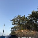 [숙소후기] 강원도 양양 인메모리 펜션 내돈내산 방문 후기