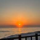 강릉 바다내음 캠핑장 | 강릉 바다내음캠핑장 재방문 후기 장단점 명당사이트