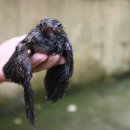 성산면사무소 이미지