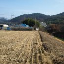 [밀양촌집매매][aaa-1378]경남 밀양시 초동면 대곡리 촌집 544평 매매 이미지
